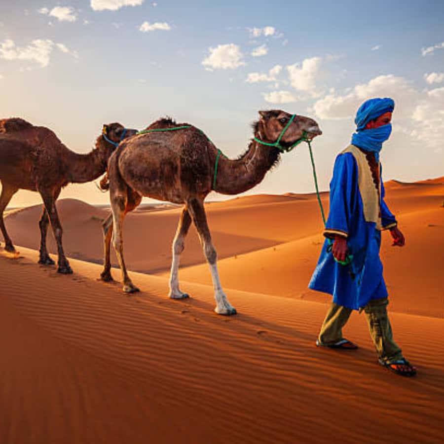 From Fes: 2 Day Round Trip Via Merzouga Desert & Camel Trek - Ifrane: Morocco’s Unexpected Mountain Stop