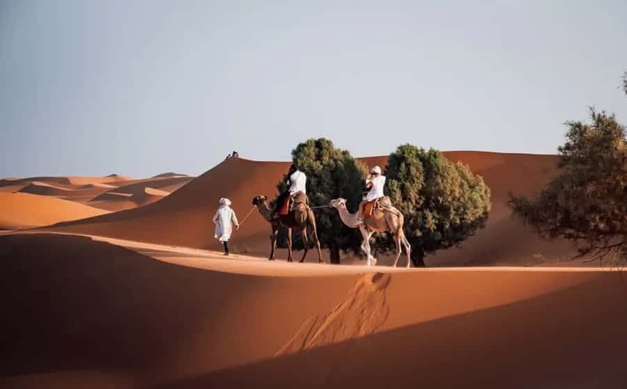 From Fes: 3-Day Luxury Desert Tour to Marrakech via Merzouga - Why this Fes to Marrakech route works