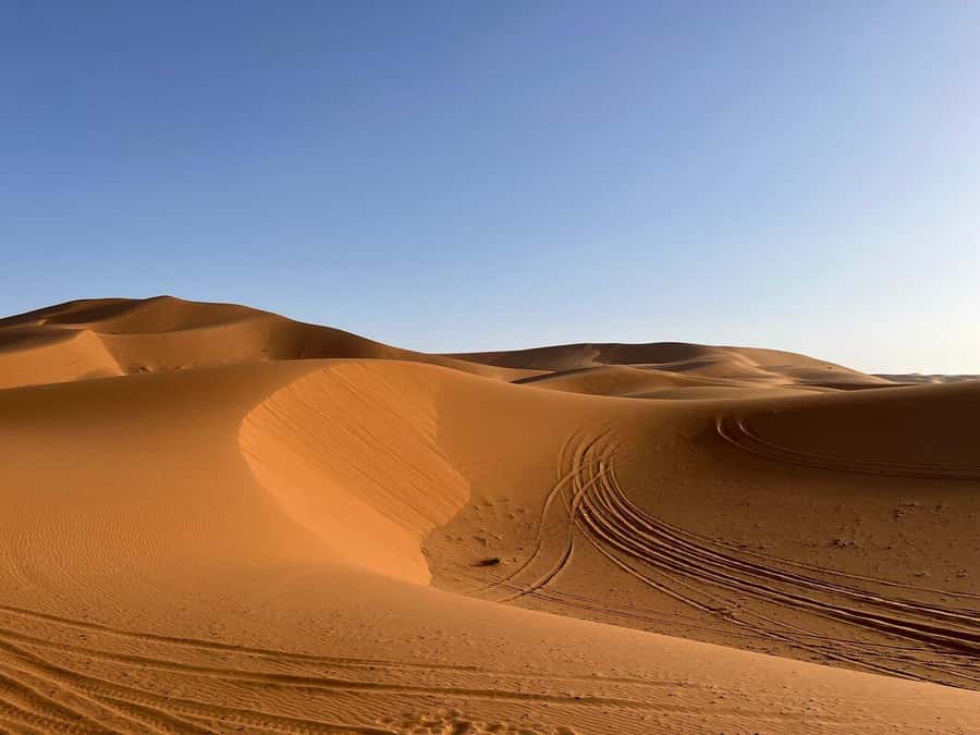 From Fes: 3-Day Luxury Desert Tour to Marrakech via Merzouga - The driver-guide can shape the whole trip
