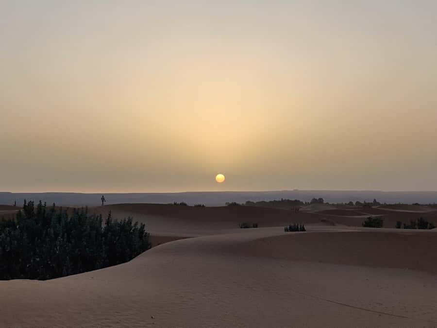 From Fes: 3-Day Luxury Desert Tour to Marrakech via Merzouga - Food, costs, and what to pack