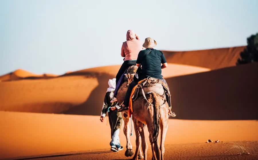 From Fes: 3-Day Luxury Desert Tour to Marrakech via Merzouga - Day 1: Ifrane, cedar forests, and the road to Merzouga