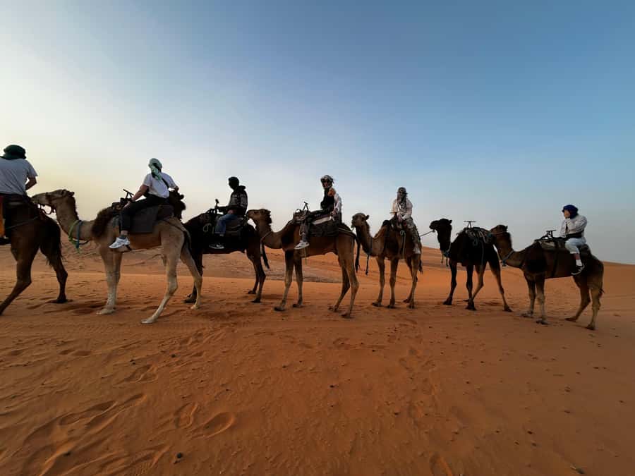 From Fes: 3 Days and 2 Nights Desert Trip to Marrakech - The first day, from Fes to the cedar forest