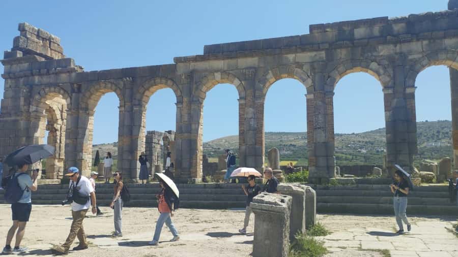 From Fes: Meknes Volubilis and Moulay Idriss Day Trip - Transport, group size, and guide choices