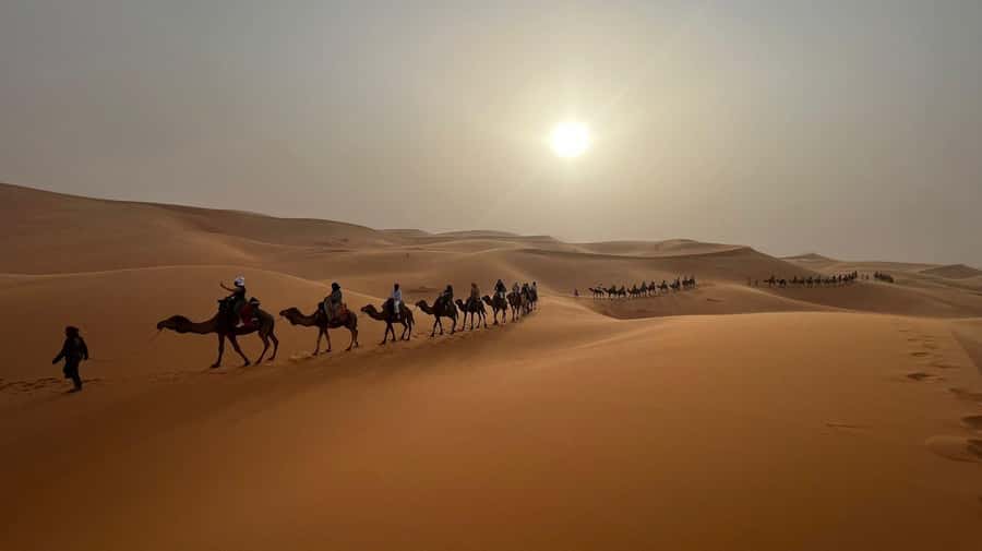From Fes to Marrakech: 3-Day Sahara Desert Discovery Tour - Should you book the Fes to Marrakech Sahara tour?