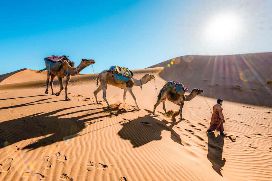 From Fes to Marrakech: 3-Day Sahara Desert Discovery Tour - The Erg Chebbi camp: atmosphere versus comfort