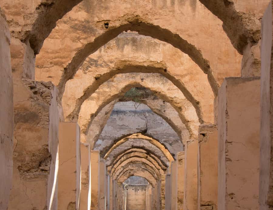 From Fes: Volubilis, Moulay Idriss and Meknes Full-Day Trip - Key points to know before booking