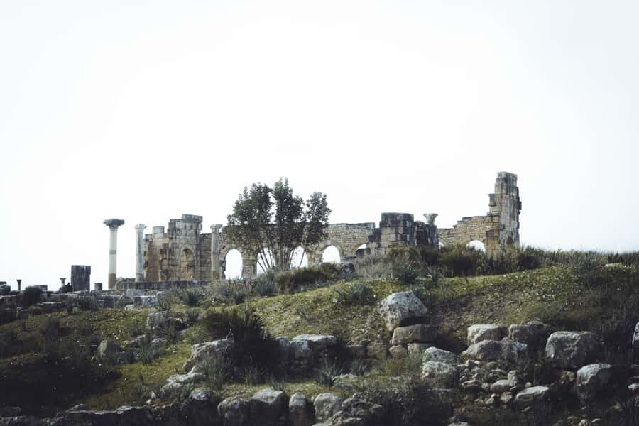 From Fes: Volubilis, Moulay Idriss and Meknes Full-Day Trip - Walking among Volubilis mosaics