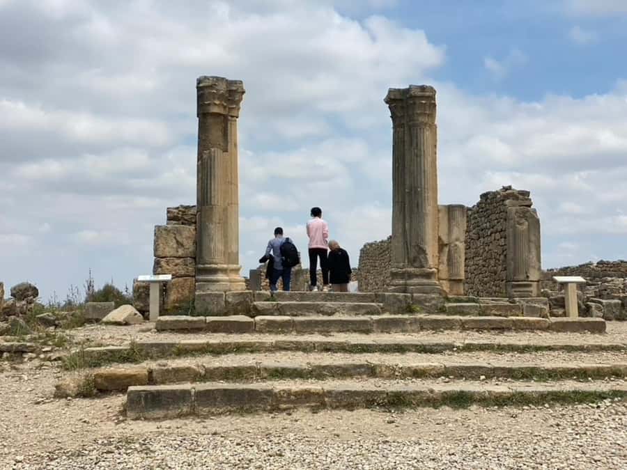 From Fes: Volubilis, Moulay Idriss, & Meknes Full-Day Trip - Key points at a glance