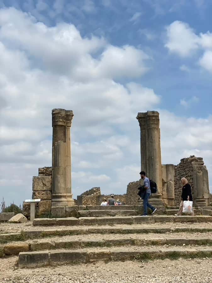 From Fes: Volubilis, Moulay Idriss, & Meknes Full-Day Trip - Is $18 good value?