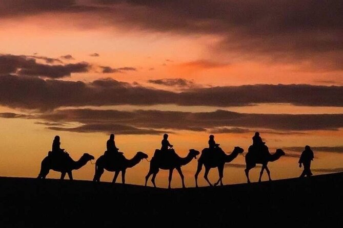 From Fez: 2-Day Desert Tour with Return to Fez or Marrakech - Reaching Merzouga around 5 p.m.