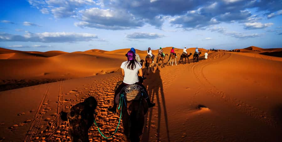 From Fez: 2-Day Marrakech via Merzouga Desert Tour - The drivers are a major part of the trip
