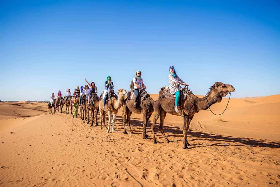 From Fez: 3-Day Merzouga and Ouarzazte Tour to Marrakech - Day one: cedar forests, Middle Atlas air, and the road to Merzouga