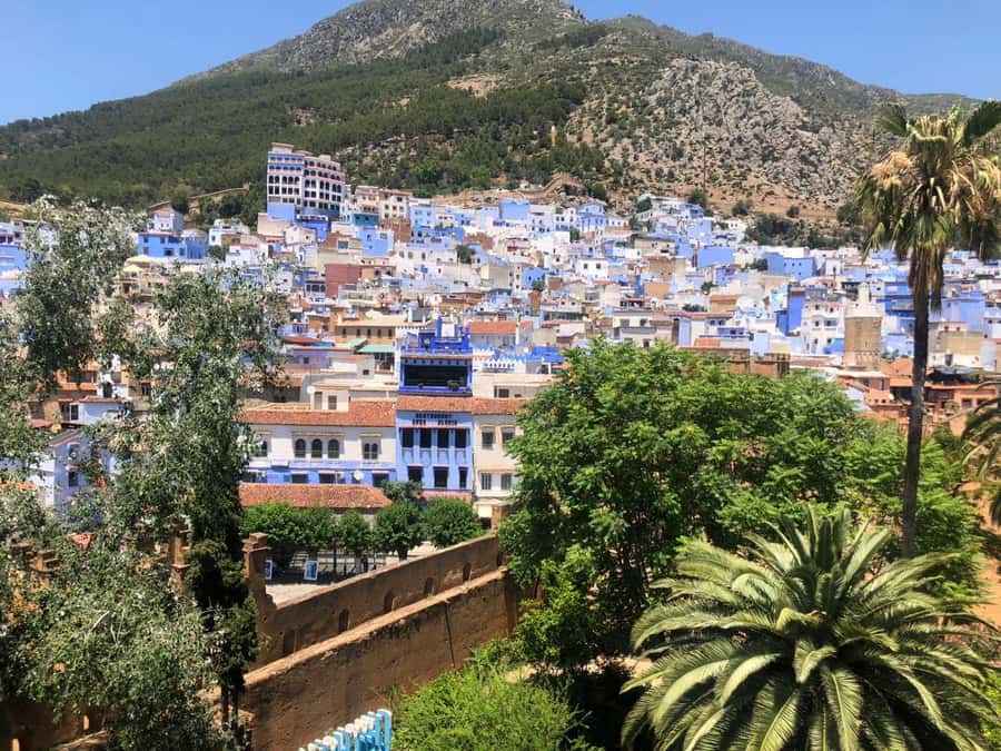 From Fez: Day Tour to the Blue Town of Chefchaouen - Kasbah Museum, gardens, and the town view
