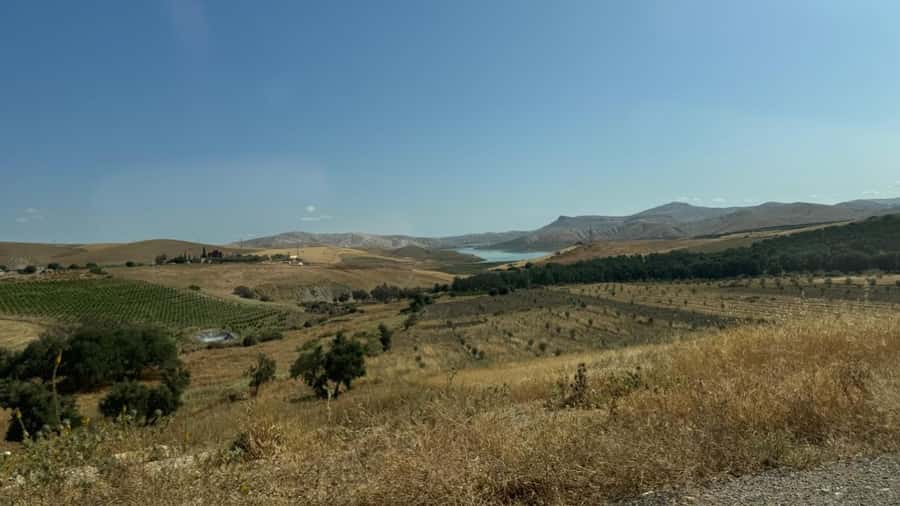 From Fez: Meknes, Volubilis and Moulay Idriss Day Trip - What the day does well, and where it falls short