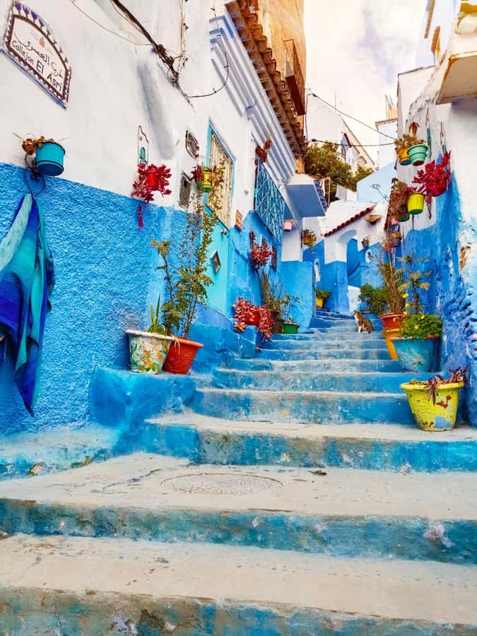 From Fez : Memorable Day Trip to Chefchaouen the Blue City - Starting near Bab Boujloud or Recif