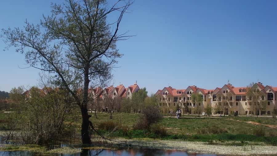 From Fez: Middle Atlas and Monkey Forest Day Trip - Ifrane, Morocco’s French-flavored mountain town
