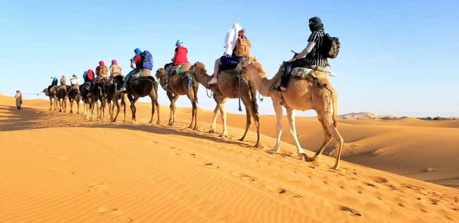 From Fez: Round-Trip Overnight Merzouga Desert Tour - Midelt gives you a needed break