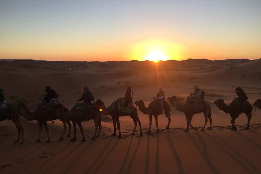 From Marrakech: 2-Day Sahara Tour to Zagora & Ait Ben Haddou - The Zagora camel ride and desert camp