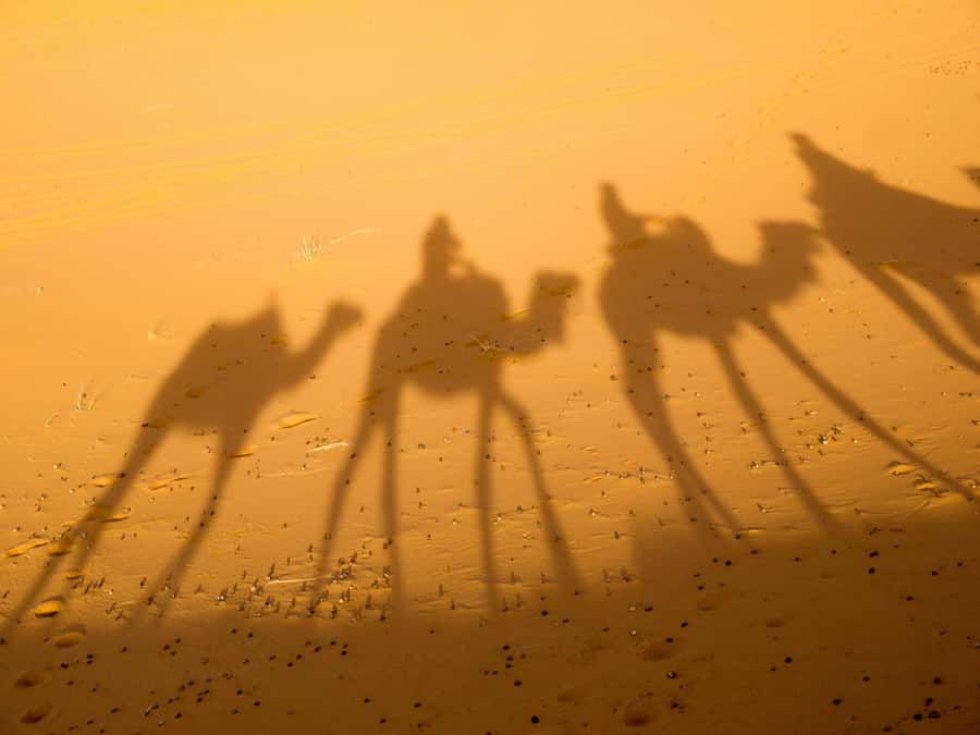 From Marrakech: 2-Day Zagora Desert Camp Trip - What you are really paying for