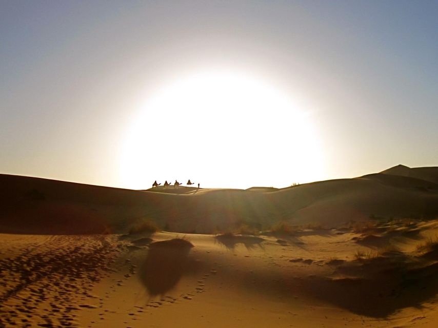 From Marrakech: 2-Day Zagora Desert Trip - Following the Drâa Valley toward Zagora