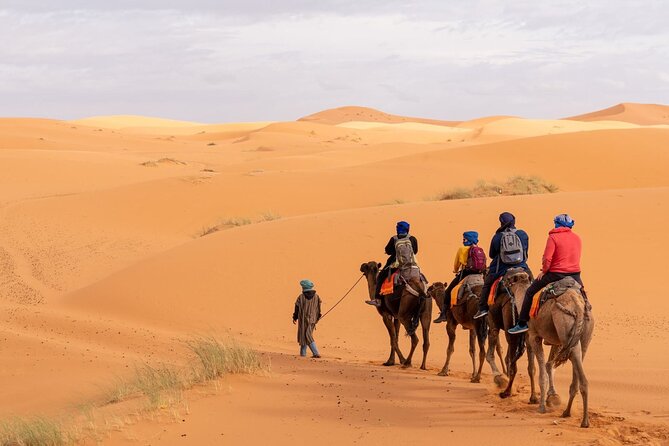 From Marrakech: 3-Day, 2-Night Merzouga Dunes Desert Trip - Why this Marrakech to Merzouga trip is worth considering