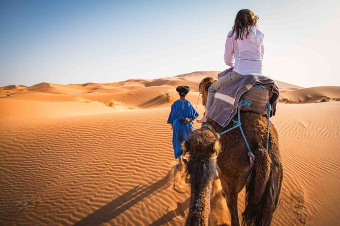 From Marrakech: 3-Day, 2-Night Merzouga Dunes Desert Trip - Transport, group size, and the pace of the route