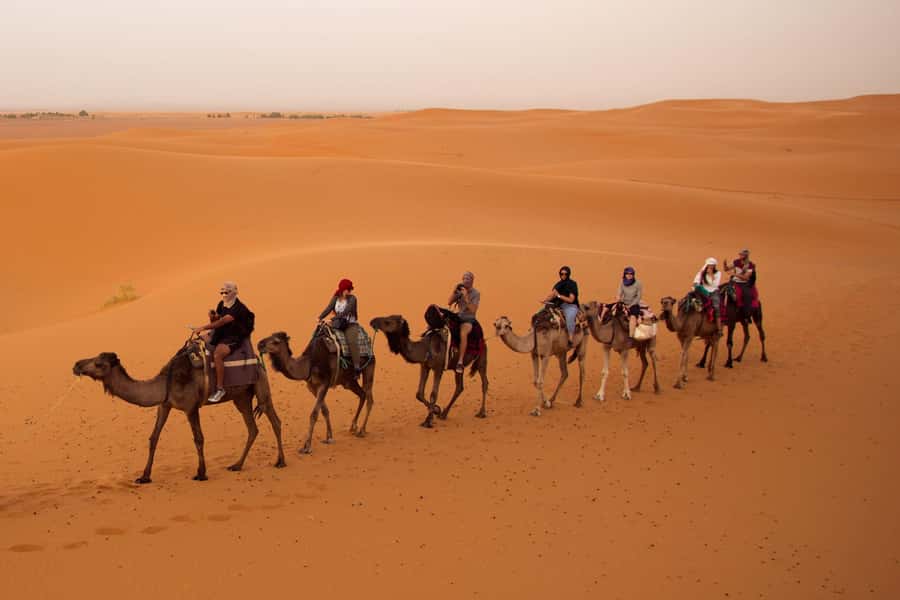 From Marrakech: 3-Day Desert Tour to Fes via Erg Chebbi - A big Moroccan journey in only three days