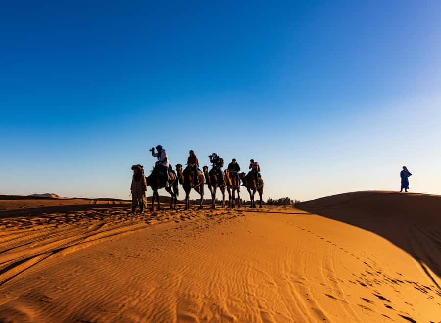 From Marrakech: 3-Day Desert with luxury camp, camel & meals - The five things to know before booking