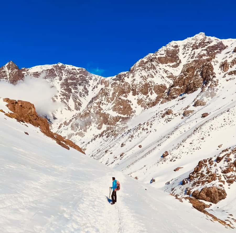 From Marrakech: 3-Day Mount Toubkal Climbing Trek - Why the guides matter so much