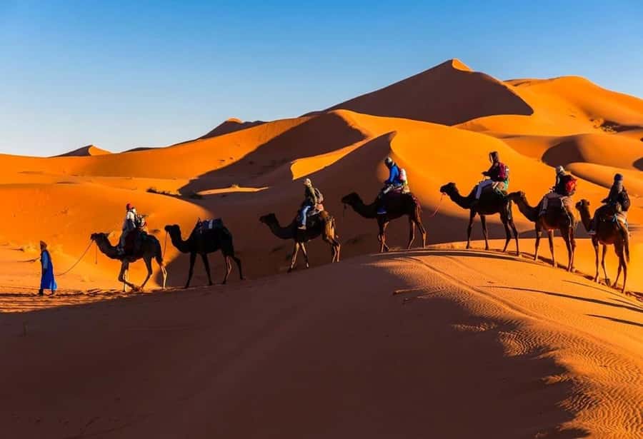 From Marrakech: 3-Day Sahara Desert Adventure to Fes - Day 1: High Atlas passes and the old walls of Ait Ben Haddou