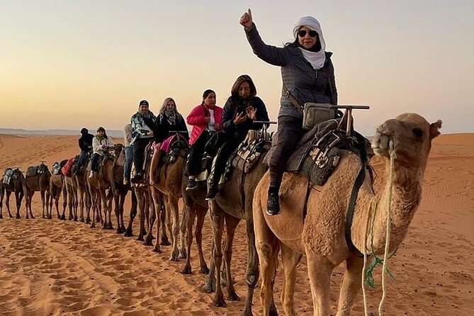 From Marrakech: 3-Day Tour To Fez Via-Desert merzouga - Who should book this desert transfer?