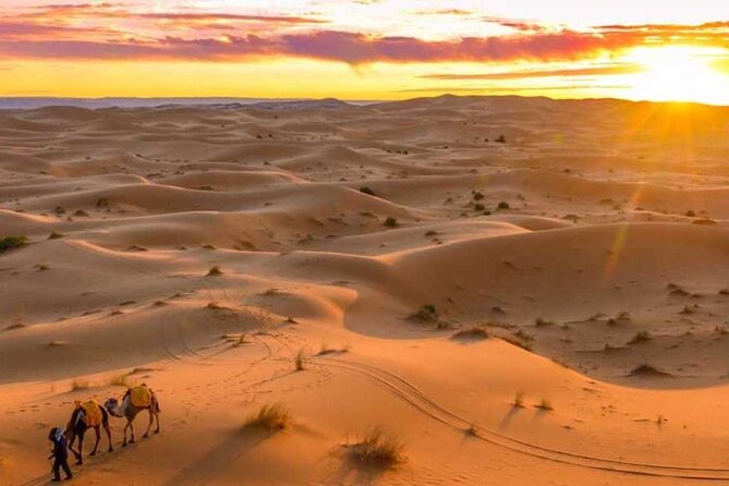 From Marrakech : 3 Days Desert Tour To Fes - What the $197.09 price includes