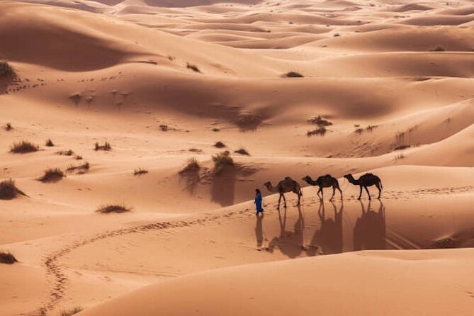 From Marrakech : 3 Days Desert Tour To Fes - FAQ