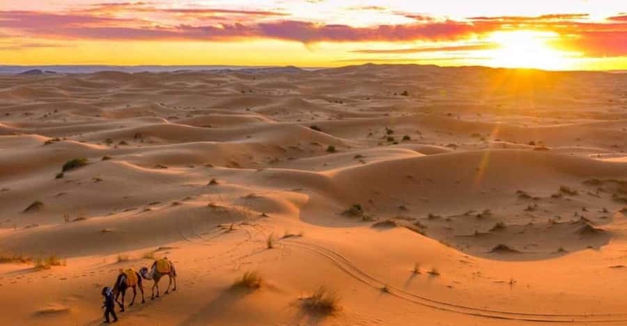 From Marrakech: 3 Days Desert Tour To Merzouga Luxury Camp - Who will enjoy this route most?