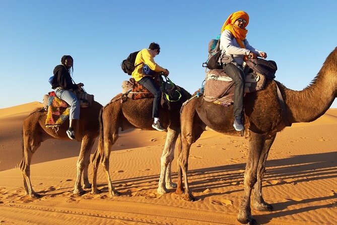 From Marrakech 3 Days Tour To Merzouga Sahara Desert - Who will get the most from this tour?
