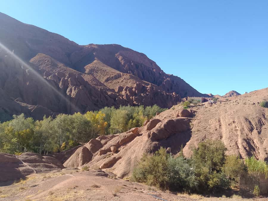 From Marrakech: 4-Day Morocco Sahara Desert Experience - Day 4: Back across the Atlas to Marrakech