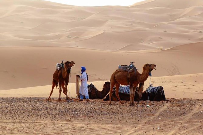 From Marrakech 4 Days Tour To Morocco Sahara Desert - Day two: Todra Gorge, palm groves, and the road to Merzouga