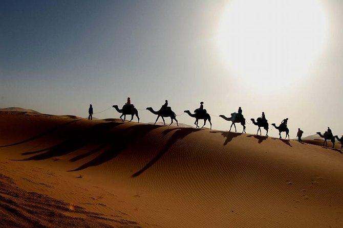 From Marrakech 4 Days Tour To Morocco Sahara Desert - Is $220 a good value?