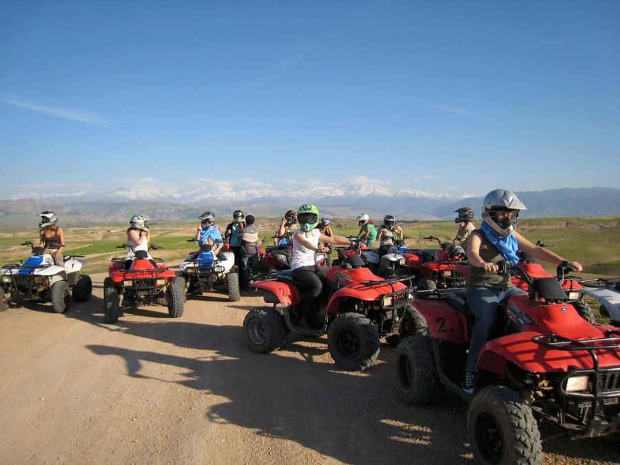 From Marrakech: Adventure Quad Ride in La Palmeraie - Key points to know before you book