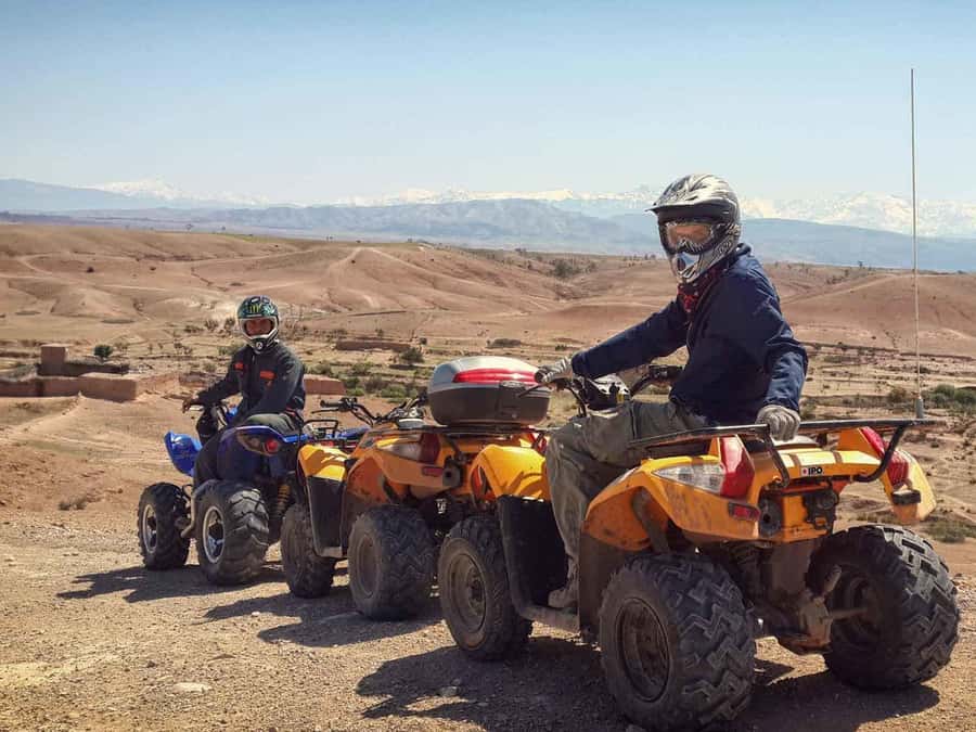 From Marrakech: Adventure Quad Ride in La Palmeraie - Who will enjoy this four-hour outing