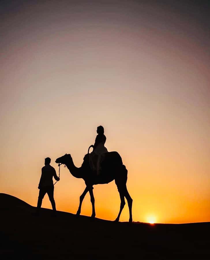 From Marrakech: Agafay Desert Dinner and Optional Camel Ride - Who should book this Agafay evening?