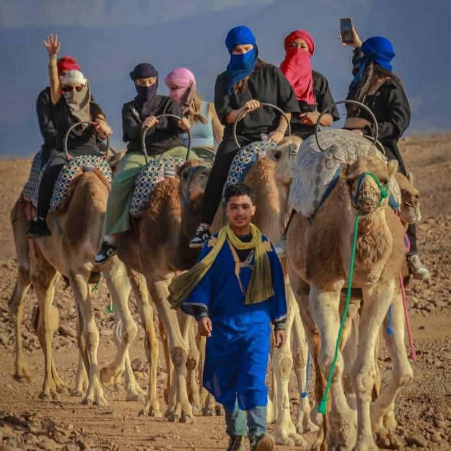 From Marrakech: Agafay Desert Dinner with Quad & Camel Ride - Dinner under the night sky