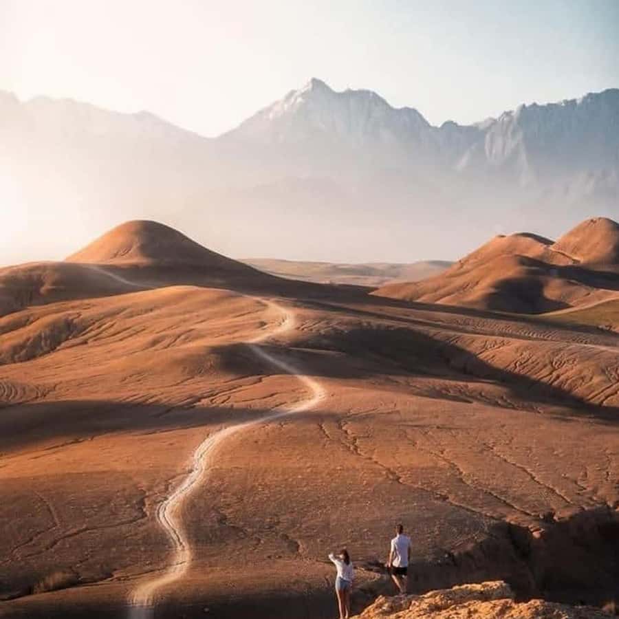 From Marrakech: Agafay Desert Dinner with Quad & Camel Ride - Is $23 a good price?