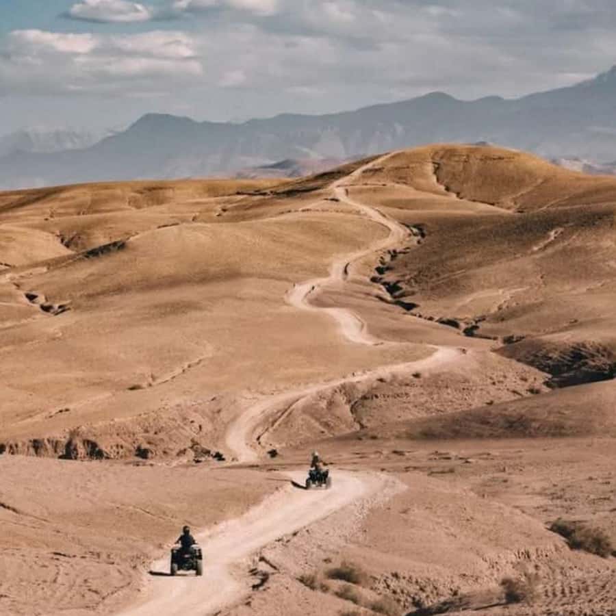 From Marrakech: Agafay Desert Dinner with Quad & Camel Ride - Who will enjoy this evening most?