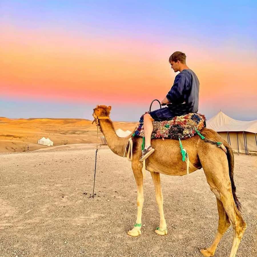 From Marrakech: Agafay Desert Dinner with Quad & Camel Ride - Lalla Takerkoust and the road to Agafay