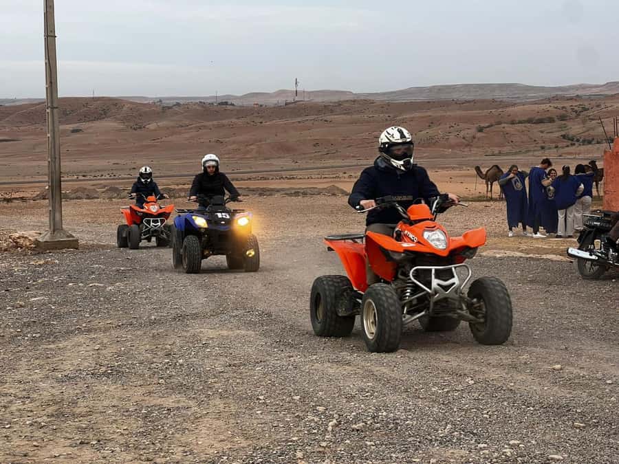 From Marrakech: Agafay Desert Quad Biking Tour with Transfer - Who will enjoy this most?