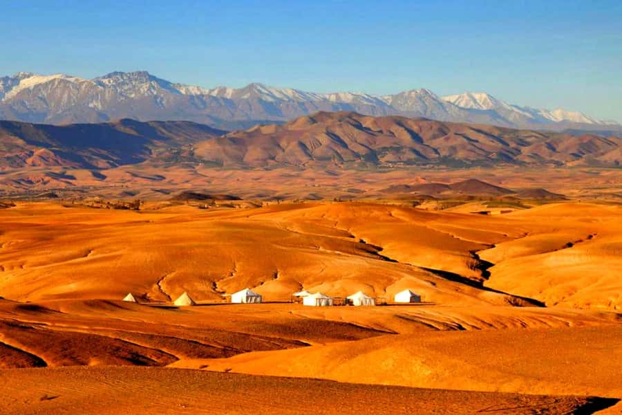 From Marrakech : Agafay Desert Sunset Dinner with Camel Ride - Who will enjoy this evening most?