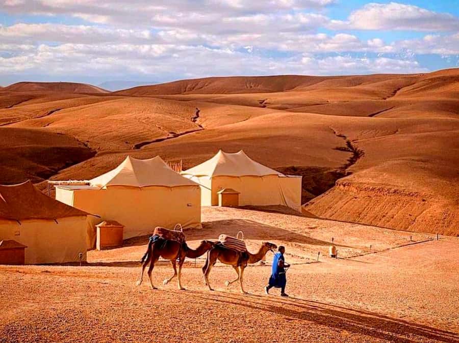 From Marrakech : Agafay Desert Sunset Dinner with Camel Ride - Dinner under the desert sky