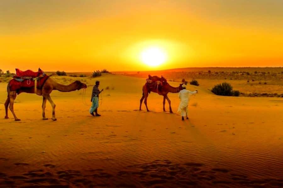 From Marrakech : Agafay Desert Sunset Dinner with Camel Ride - Is $34 good value?