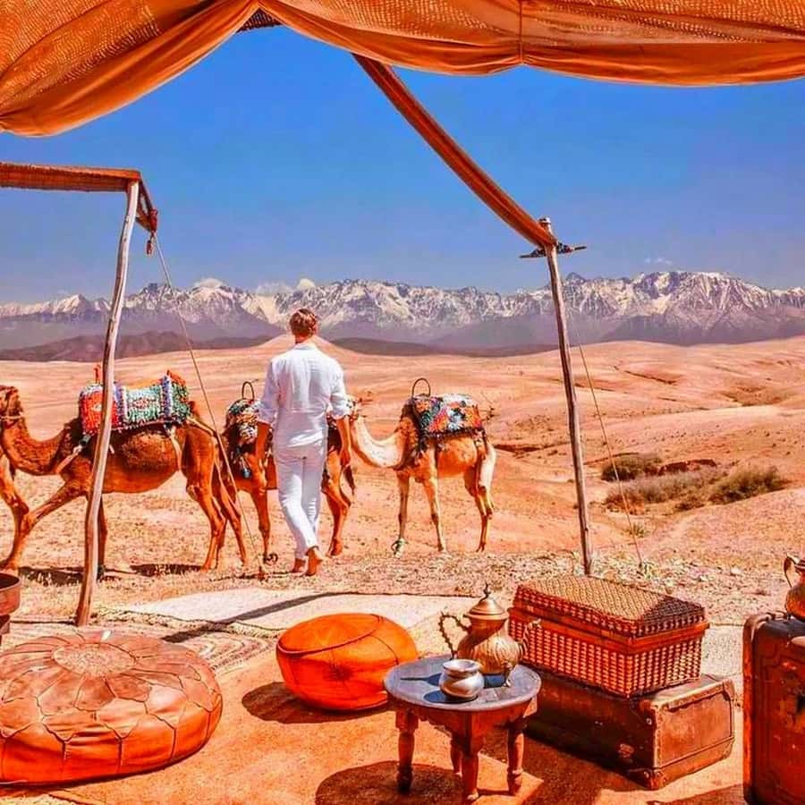 From Marrakech: Agafay Desert Sunset Dinner with Live Show - Key points to know before booking